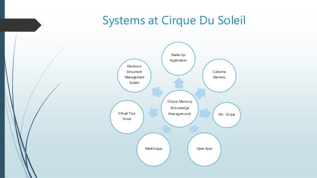 Case Study Cirque Du Soleil Mis 4596