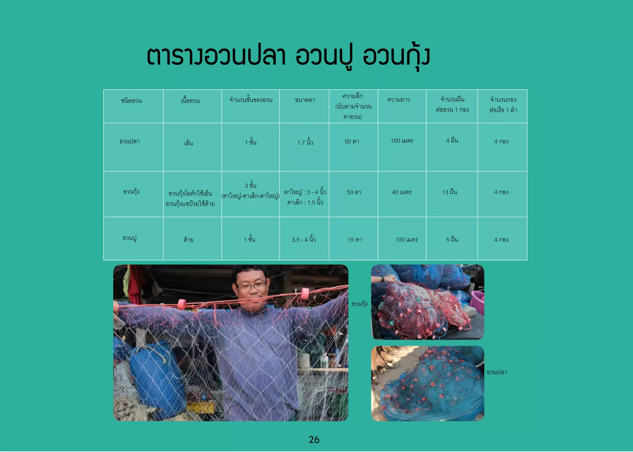 ตารางอวนปลา อวนปู อวนกุ้ง
จำ�นวนชั้นของอวน
1 ชั้น
3 ชั้น
(ตาใหญ่-ตาเล็ก-ตาใหญ่)
1 ชั้น
ขนาดตา
1.7 นิ้ว
ตาใหญ่ : 3 - 4 นิ้ว
ตาเล็ก : 1.5 นิ้ว
3.5 - 4 นิ้ว
ความลึก
(นับตามจำ�นวน
ตาอวน)
50 ตา
50 ตา
15 ตา
ความยาว
100 เมตร
40 เมตร
100 เมตร
จำ�นวนผืน
ต่ออวน 1 กอง
4 ผืน
13 ผืน
5 ผืน
จำ�นวนกอง
ต่อเรือ 1 ลำ�
4 กอง
4 กอง
4 กอง
อวนกุ้งโอคักใช้เอ็น
อวนกุ้งแชบ๊วยใช้ด้าย
ด้าย
เนื้ออวน
เอ็น
อวนกุ้ง
อวนปู
ชนิดอวน
อวนปลา
26
อวนกุ้ง
อวนปลา
 