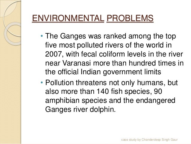 Case study on water pollution in yamuna image