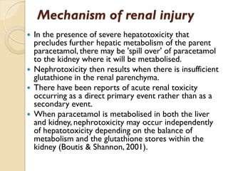 Mechanism of renal injury
 In the presence of severe hepatotoxicity that
precludes further hepatic metabolism of the parent
paracetamol, there may be 'spill over' of paracetamol
to the kidney where it will be metabolised.
 Nephrotoxicity then results when there is insufficient
glutathione in the renal parenchyma.
 There have been reports of acute renal toxicity
occurring as a direct primary event rather than as a
secondary event.
 When paracetamol is metabolised in both the liver
and kidney, nephrotoxicity may occur independently
of hepatotoxicity depending on the balance of
metabolism and the glutathione stores within the
kidney (Boutis & Shannon, 2001).
 