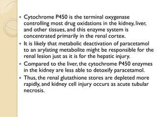  Cytochrome P450 is the terminal oxygenase
controlling most drug oxidations in the kidney, liver,
and other tissues, and this enzyme system is
concentrated primarily in the renal cortex.
 It is likely that metabolic deactivation of paracetamol
to an arylating metabolite might be responsible for the
renal lesion just as it is for the hepatic injury.
 Compared to the liver, the cytochrome P450 enzymes
in the kidney are less able to detoxify paracetamol.
 Thus, the renal glutathione stores are depleted more
rapidly, and kidney cell injury occurs as acute tubular
necrosis.
 