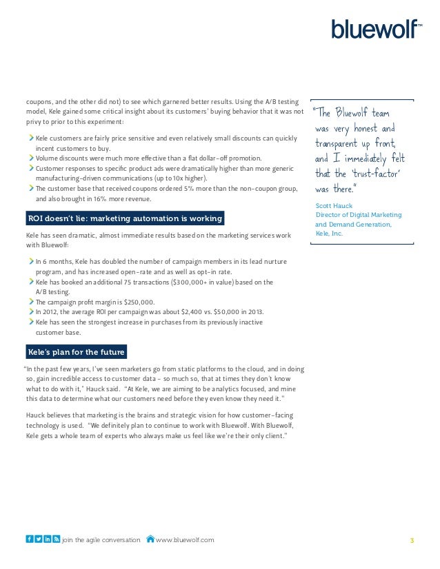 Blue wolf capital image