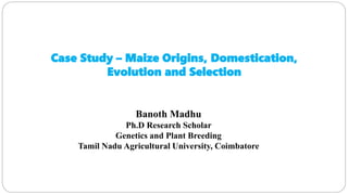 Case Study – Maize Origins, Domestication,
Evolution and Selection
Banoth Madhu
Ph.D Research Scholar
Genetics and Plant Breeding
Tamil Nadu Agricultural University, Coimbatore
 