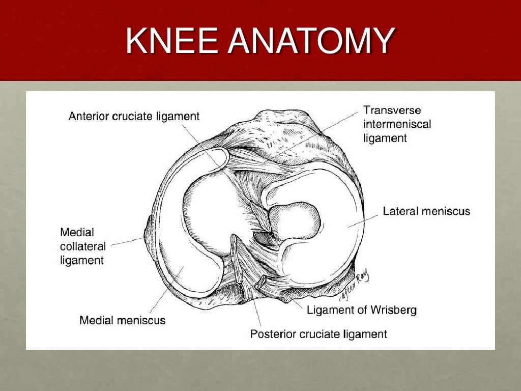 Lateral meniscus tear case presentation image