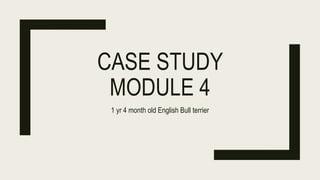 CASE STUDY
MODULE 4
1 yr 4 month old English Bull terrier
 