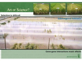 Big Data and Agriculture