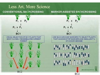 Big Data and Agriculture