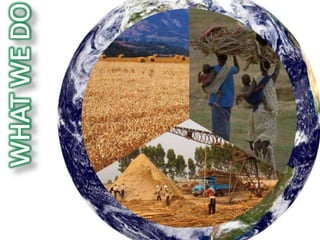 Big Data and Agriculture