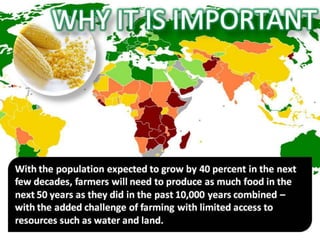 Big Data and Agriculture