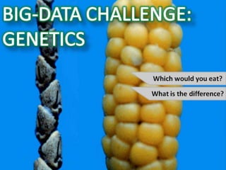 Big Data and Agriculture