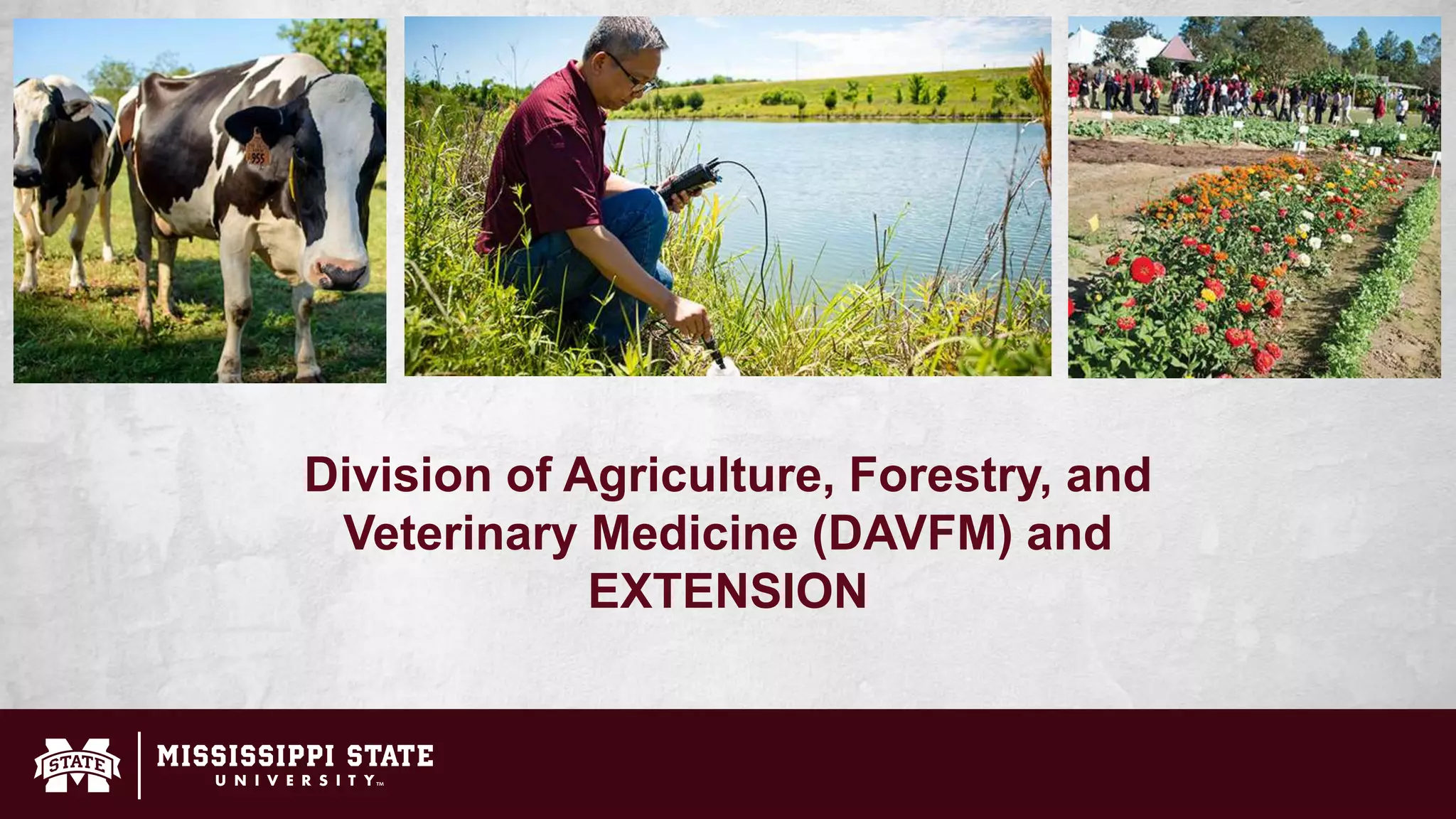 Division of Agriculture, Forestry, and
Veterinary Medicine (DAVFM) and
EXTENSION
 