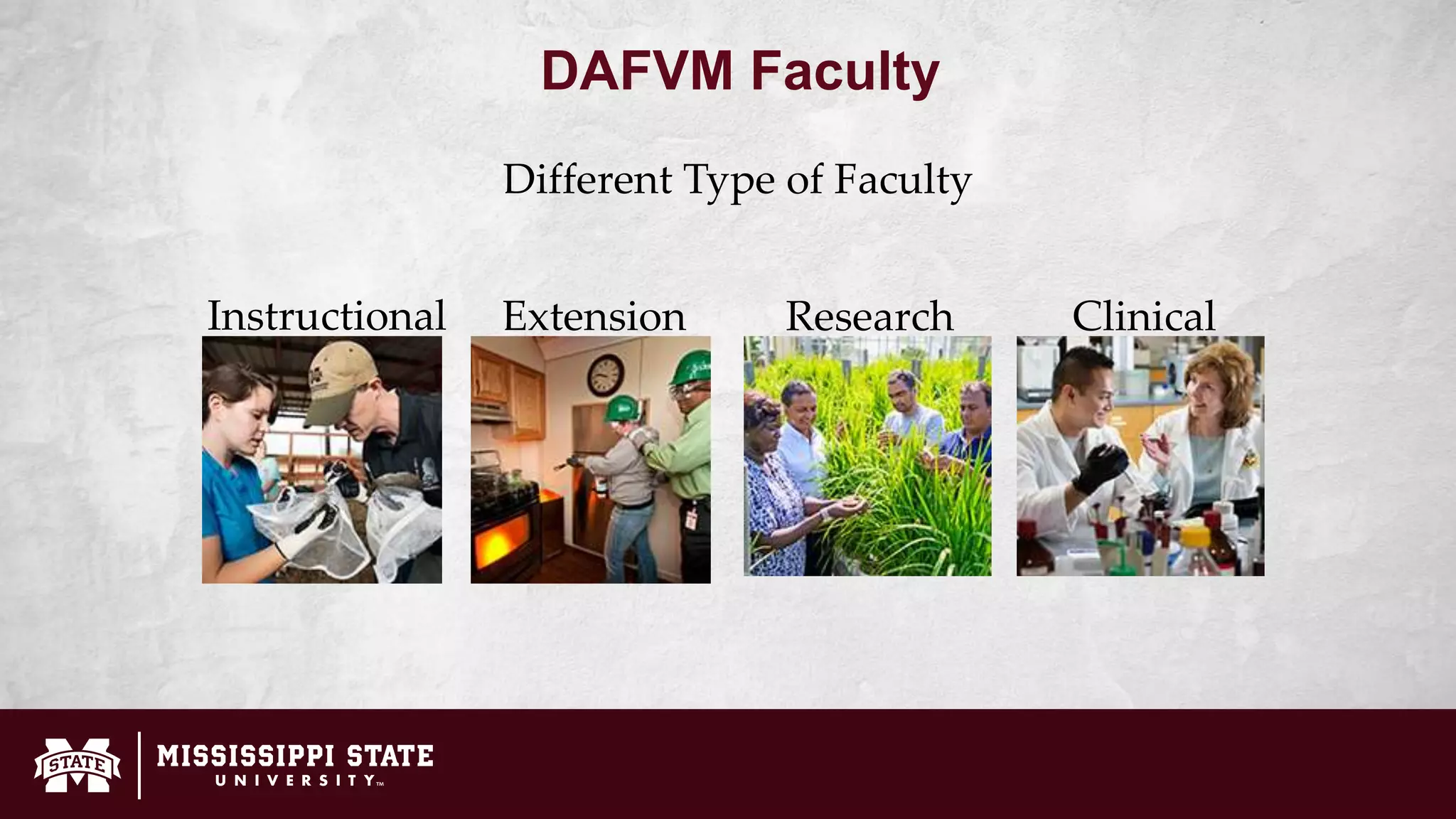 DAFVM Faculty
Different Type of Faculty
Instructional Extension Research Clinical
 