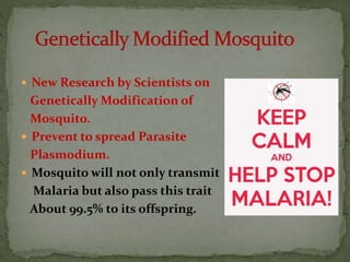  New Research by Scientists 0n
Genetically Modification of
Mosquito.
 Prevent to spread Parasite
Plasmodium.
 Mosquito will not only transmit
Malaria but also pass this trait
About 99.5% to its offspring.
 