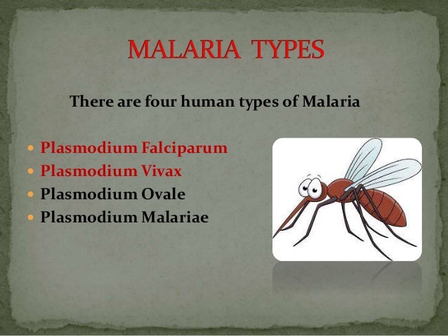 Malaria case study slideshare picture