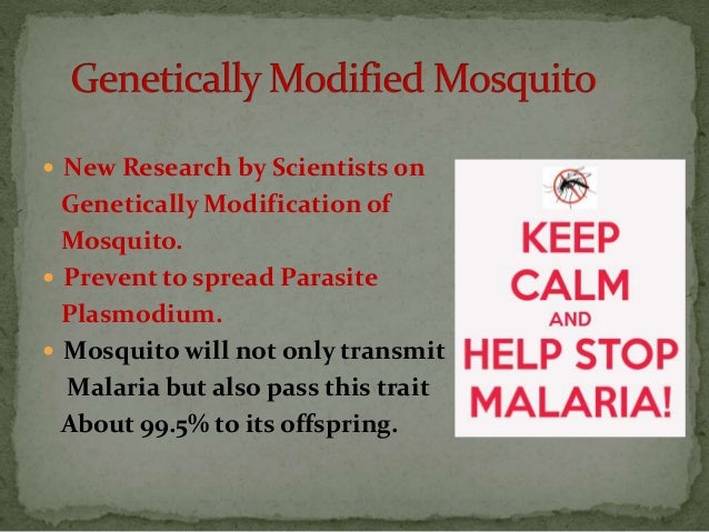 Cerebral malaria case study image