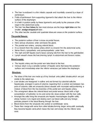  The liver is enclosed in a thin inlastic capsule and incomletly covered by a layer of
peritoneum.
 Folds of peritoneum form supporting ligament’s that attach the liver to the inferior
surface of the diaphargm.
 It is held in postion partly by these ligament’s and partly by the pressure of the
organ in the abdominal cavity.
 The liver has four lobes.the two most obvious are the large right lobe and the
smaller ,wedge-shaped,left lobe .
 The other two,the caudate and quadrate lobes,are areas on the posterior surface.
The portal fissure:
 The posterior surface of liver is know as portal fissure.
 Here various structures enter and leave the gland.
 The poretal vein enters, carrying arterial blood.
 It is a branch from the coeliac artery which is a branch frm the abdominal aorta.
 Nerve fibre’s, sympathetic and parasympathetic ,enter here.
 The right and left hepatic duct’s leave carrying bile from the liver to the gall bladder.
 Lymph vessel’s leave the liver,draining lymph to abdominal and thoracic nodes.
Blood supply:
 The hepatic artery and the portal vein take blood to the liver.
 Venous return is by a variable number of hepatic veins that leave the posterior
surface and immediately enter the inferior venacava just below the diaphargm.
Structure:
 The lobes of the liver are made up of tiny functual units,called lobules,which are just
visible to the naked eye.
 Liver lobules are hexagonal in outline and are formed by cuboidal cells,the
hepatocytes arranged in pairs of columns regarding from a central vein.between two
pairs of columns cells are sinusoids (blood vessels with incomplet wall,)containing a
mixture of blood from the tiny branches of the portal vein and hepatic artery.
 This arrangment allows the arterial blood and portal venous blood (with a high
concentration of nutrients) to mix and come into close contact with the liver cells.
 Amongst the cells lining the sinusoids are hepatic macrophages (kupffer cells)
whose function is to ingest and destroy worn out blood cells and any foreign
particles present in the blood flowing through the liver.
 Blood drains from the sinusoids into central or centrilobular veins.
 These then merge with veins from other lobules,forming larger veins,untill eventually
they become hepatic veins,which leave the liver and empty into the inferior vena
cava.
 