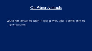 On Water Animals
Acid Rain increases the acidity of lakes & rivers, which is directly affect the
aquatic ecosystem.
 
