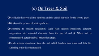(c) On Trees & Soil
Acid Rain dissolves all the nutrients and the useful minerals for the tree to grow.
Weakens the process of photosynthesis.
According to modern researches, Acid Rain leaches potassium, calcium,
magnesium, etc. essential elements from the top of soil & When soil is
contaminated, cereal (arable) production crops.
Acids activate aluminum from the soil which leaches into water and fish die.
Drinking water is contaminated.
 