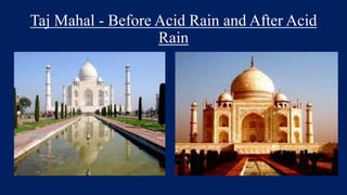 Taj Mahal - Before Acid Rain and After Acid
Rain
 