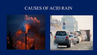 CAUSES OF ACID RAIN
 