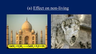 (a) Effect on non-living
 