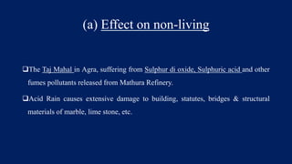 (a) Effect on non-living
The Taj Mahal in Agra, suffering from Sulphur di oxide, Sulphuric acid and other
fumes pollutants released from Mathura Refinery.
Acid Rain causes extensive damage to building, statutes, bridges & structural
materials of marble, lime stone, etc.
 
