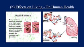 (b) Effects on Living - On Human Health
 