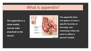 3
What is appendix?
The appendix is a
close ended ,
narrow tube
attached to the
cecum.
The appendix does
not appear to have a
specific function in
the body, and
removing it does not
seem to affect a
person’s health.
 