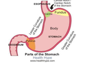 Case study on autoimmune gastristis...gokia