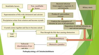 Modifiable factors Non- modifiable
factors
Supersaturation of bile with cholesterol and calcium
Precipitation solute from solution and become crystals
Crystals comes together and fuse to become calculi
Gall
stone
Pass through the bile duct causing obstruction
Choledocholithiasis
Obstructive jaundiceYellowish
discoloration of eye
and skin
Pathophysiology of Choledocholithiasis
Biliary stasis
Bacterial infection
Gram negative organism- E.
coli klebisella
Produce β- gucronidase
enzyme
Deposition of calcium bilirubin ate
and calcium palmitate
Catalyze the conjugation of
bilirubin & lysis of phospholipids
 