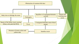Obstruction of common bile duct
Body tries to dislodge the stone
Spasm of the biliary tracts causing
biliary colic pain the RUQ
Nausea and
vomiting may
occur
Conjugated bilirubin enters blood
stream
Cholangitis
Fever
Backflow of conjugated bilirubin
to liver
Jaundice occur
Presence of icteric sclera and
yellow skin
 