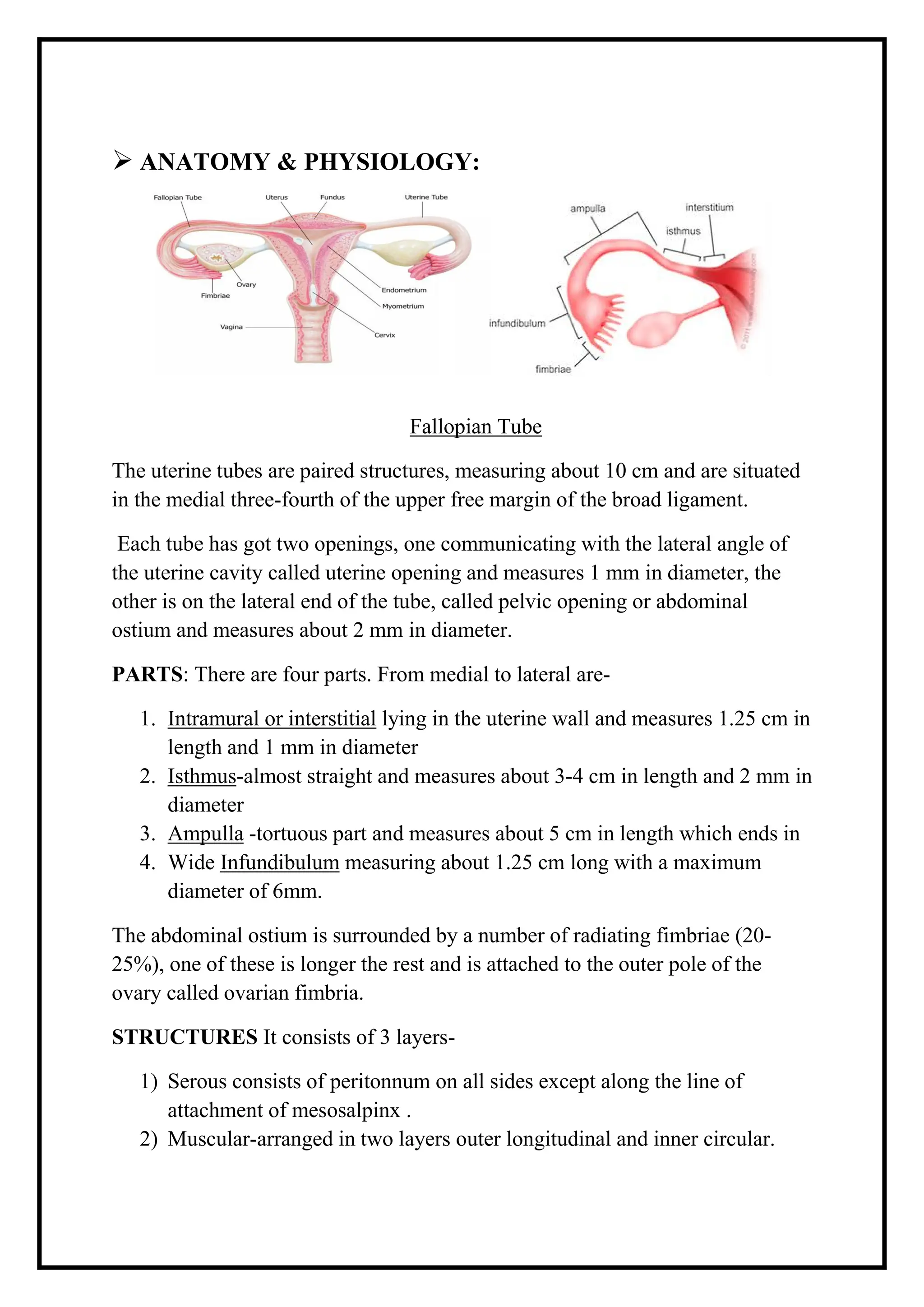 Case Study On Ectopic Pregnancy..pdf.... | PDF