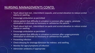 NURSING MANAGEMENTS CONTD.
• Teach about bed rest , intermittent icepacks ,and scrotal elevation to reduce scrotal
edema or swelling.
• Encourage ambulation as permitted
• Advise patient that difficulty in urination is common after surgery , promote
elimination to eliminate as necessary or catheterise the patient.
• Teach about bed rest , intermittent ice packs and scrotal elevation to reduce scrotal
edema or swelling.
• Encourage ambulation as permitted
• Advise patient that difficulty in urination is common after surgery,promote
elimination to eliminate as necessary or catheterise the patient.
• Preventing infection
• Check dressing for drainage &incision for redness and swelling.
• Monitor for signs/symptoms of infection
• Administer antibiotics if appropriate

 