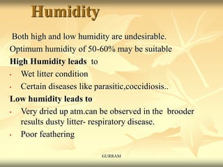 Humidity
Both high and low humidity are undesirable.
Optimum humidity of 50-60% may be suitable
High Humidity leads to
• Wet litter condition
• Certain diseases like parasitic,coccidiosis..
Low humidity leads to
• Very dried up atm.can be observed in the brooder
results dusty litter- respiratory disease.
• Poor feathering
GURRAM
 