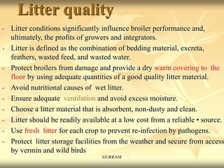 Litter quality
• Litter conditions significantly influence broiler performance and,
ultimately, the profits of growers and integrators.
• Litter is defined as the combination of bedding material, excreta,
feathers, wasted feed, and wasted water.
• Protect broilers from damage and provide a dry warm covering to the
floor by using adequate quantities of a good quality litter material.
• Avoid nutritional causes of wet litter.
• Ensure adequate ventilation and avoid excess moisture.
• Choose a litter material that is absorbent, non-dusty and clean.
• Litter should be readily available at a low cost from a reliable • source.
• Use fresh litter for each crop to prevent re-infection by pathogens.
• Protect litter storage facilities from the weather and secure from access
by vermin and wild birds
GURRAM
 