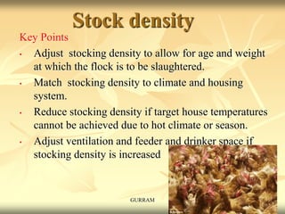 Stock density
Key Points
• Adjust stocking density to allow for age and weight
at which the flock is to be slaughtered.
• Match stocking density to climate and housing
system.
• Reduce stocking density if target house temperatures
cannot be achieved due to hot climate or season.
• Adjust ventilation and feeder and drinker space if
stocking density is increased
GURRAM
 
