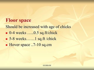 Floor space
Should be increased with age of chicks
 0-4 weeks …..0.5 sq.ft/chick
 5-8 weeks……1 sq.ft /chick
 Hover space ..7-10 sq.cm
GURRAM
 