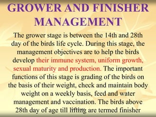 GROWER AND FINISHER
MANAGEMENT
The grower stage is between the 14th and 28th
day of the birds life cycle. During this stage, the
management objectives are to help the birds
develop their immune system, uniform growth,
sexual maturity and production. The important
functions of this stage is grading of the birds on
the basis of their weight, check and maintain body
weight on a weekly basis, feed and water
management and vaccination. The birds above
28th day of age till lifting are termed finisher
GURRAM
 
