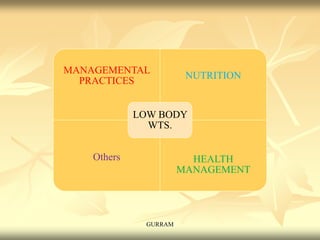 LOW
BODY WT.
MANAGEMENTAL
PRACTICES
NUTRITION
Others HEALTH
MANAGEMENT
LOW BODY
WTS.
GURRAM
 