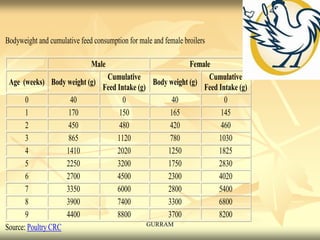 Bodyweight and cumulative feed consumption for male and female broilers
Male Female
Age (weeks) Body weight (g)
Cumulative
Feed Intake (g)
Body weight (g)
Cumulative
Feed Intake (g)
0 40 0 40 0
1 170 150 165 145
2 450 480 420 460
3 865 1120 780 1030
4 1410 2020 1250 1825
5 2250 3200 1750 2830
6 2700 4500 2300 4020
7 3350 6000 2800 5400
8 3900 7400 3300 6800
9 4400 8800 3700 8200
Source: Poultry CRC GURRAM
 