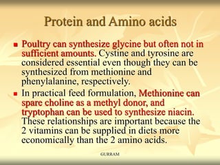 Protein and Amino acids
 Poultry can synthesize glycine but often not in
sufficient amounts. Cystine and tyrosine are
considered essential even though they can be
synthesized from methionine and
phenylalanine, respectively.
 In practical feed formulation, Methionine can
spare choline as a methyl donor, and
tryptophan can be used to synthesize niacin.
These relationships are important because the
2 vitamins can be supplied in diets more
economically than the 2 amino acids.
GURRAM
 
