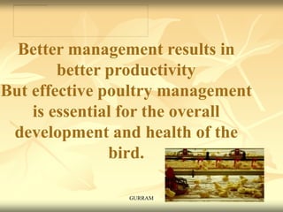 Better management results in
better productivity
But effective poultry management
is essential for the overall
development and health of the
bird.
GURRAM
 