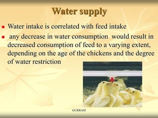 Water supply
 Water intake is correlated with feed intake
 any decrease in water consumption would result in
decreased consumption of feed to a varying extent,
depending on the age of the chickens and the degree
of water restriction
GURRAM
 