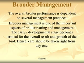 Brooder Management
The overall broiler performance is dependent
on several management practices.
Brooder management is one of the important
aspects of broiler rearing and management.
The early / developmental stage becomes
critical for the overall result and growth of the
bird. Hence, care should be taken right from
day one.
GURRAM
 