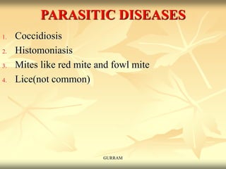 PARASITIC DISEASES
1. Coccidiosis
2. Histomoniasis
3. Mites like red mite and fowl mite
4. Lice(not common)
GURRAM
 