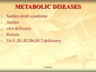METABOLIC DISEASES
1. Sudden death syndrome
2. Ascites
3. vitA deficency
4. Rickets
5. Vit E ,B1,B2,B6,B12 deficiency
GURRAM
 