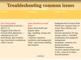 Troubleshooting common issues
observe investigate Likely causes
Poor chick quality
Increased dead on arrivals --
(D.O.A.’s)
Sluggish chick behavior
General chick appearance: --
unhealed navels, red
hocks/beaks, dark wrinkled
legs, discolored or malodorous
yolks or navels
Feed, Sanitation, Air and
Water
Source flock health and
hygiene status
Egg --handling, storage and
transport
--Hatchery sanitation,
incubation, and management
Chick --processing, handling
and transport
Inadequate diet of source flock
Health and --hygiene status of
source flock, hatchery and
equipment
Incorrect parameters for egg
storage, relative --humidity,
temperatures and equipment
management
Inadequate --moisture loss
during incubation
Dehydration caused by
excessive spread of hatch time
or late --removal of chicks
from the hatchers
GURRAM
 