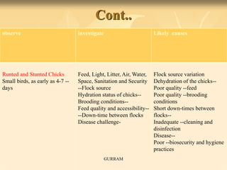 Cont..
observe investigate Likely causes
Runted and Stunted Chicks
Small birds, as early as 4-7 --
days
Feed, Light, Litter, Air, Water,
Space, Sanitation and Security
--Flock source
Hydration status of chicks--
Brooding conditions--
Feed quality and accessibility--
--Down-time between flocks
Disease challenge-
Flock source variation
Dehydration of the chicks--
Poor quality --feed
Poor quality --brooding
conditions
Short down-times between
flocks--
Inadequate --cleaning and
disinfection
Disease--
Poor --biosecurity and hygiene
practices
GURRAM
 