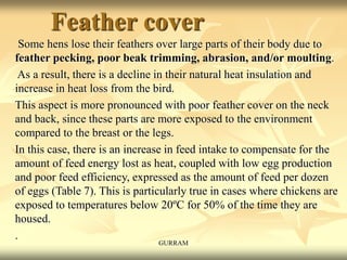 Feather cover
Some hens lose their feathers over large parts of their body due to
feather pecking, poor beak trimming, abrasion, and/or moulting.
As a result, there is a decline in their natural heat insulation and
increase in heat loss from the bird.
This aspect is more pronounced with poor feather cover on the neck
and back, since these parts are more exposed to the environment
compared to the breast or the legs.
In this case, there is an increase in feed intake to compensate for the
amount of feed energy lost as heat, coupled with low egg production
and poor feed efficiency, expressed as the amount of feed per dozen
of eggs (Table 7). This is particularly true in cases where chickens are
exposed to temperatures below 20ºC for 50% of the time they are
housed.
.
GURRAM
 