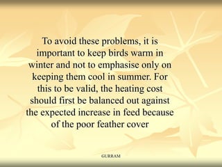 To avoid these problems, it is
important to keep birds warm in
winter and not to emphasise only on
keeping them cool in summer. For
this to be valid, the heating cost
should first be balanced out against
the expected increase in feed because
of the poor feather cover
GURRAM
 